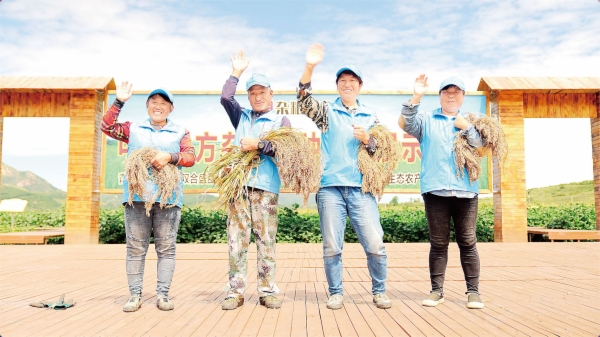 河北秦皇岛：“三级书记抓项目”按下乡村振兴快捷键